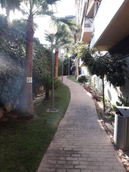Mi Casa Es Tu Casa Gandia Appartement Buitenkant foto